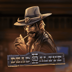 Dead or Alive 2
