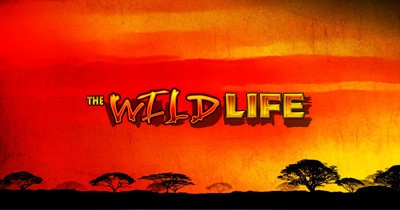 The Wild Life